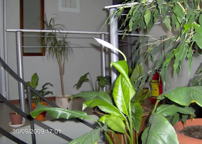 Orient 2* Blagoevgrad